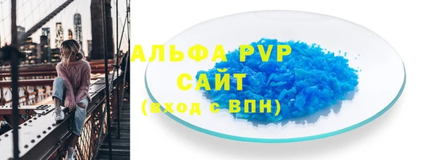 дмт Бородино
