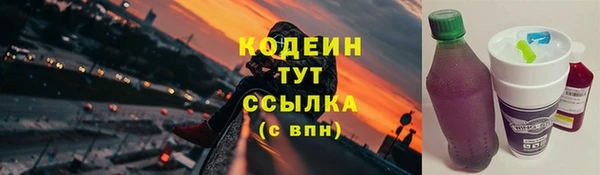 дмт Бородино