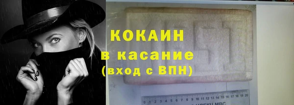дмт Бородино