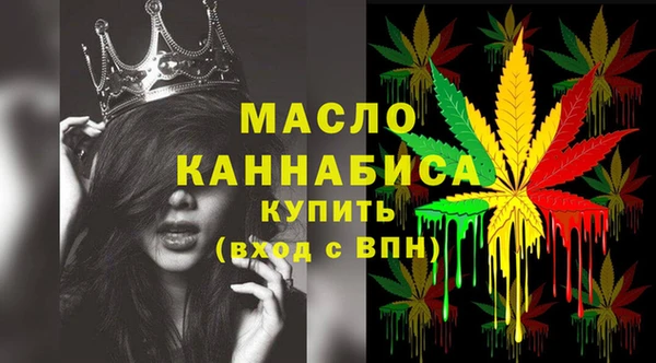 дмт Бородино