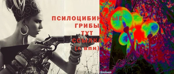 мдпв Бронницы