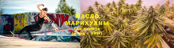 дмт Бородино