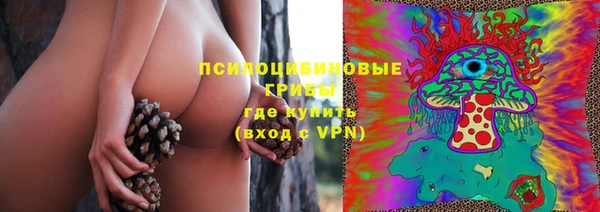 мдпв Бронницы