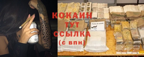 дмт Бородино